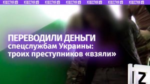 Предатели из Запорожья: деньги для ВСУ грозят пожизненным сроком