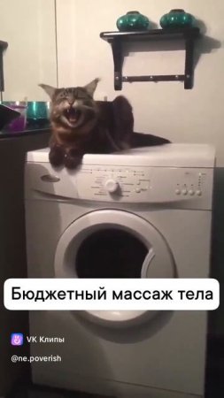 vkclips_20250619074932