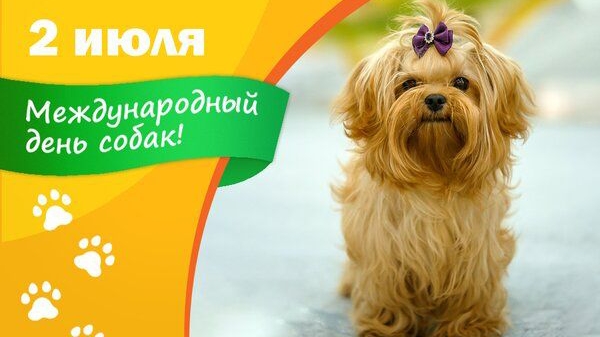 Открытка. 2 июля международный день собак🐶🐶🐶