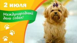 Открытка. 2 июля международный день собак🐶🐶🐶