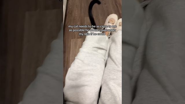 1000052712.mp4