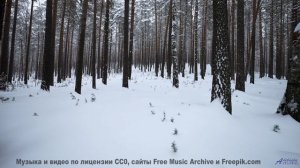 Лёгкие наполняются свежестью вместе со звучащими нотами - Mascara In Eden -- Quint Baker -- Psychic
