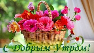 "Жизнь на пенсии".. Мои будни.
