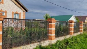 Лето в деревне, после дождя, счастливая деревенская жизнь