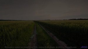 Кадры природы, обработанные квантовым компьютером! - Looking Within -- Kirk Osamayo -- Season Two (G