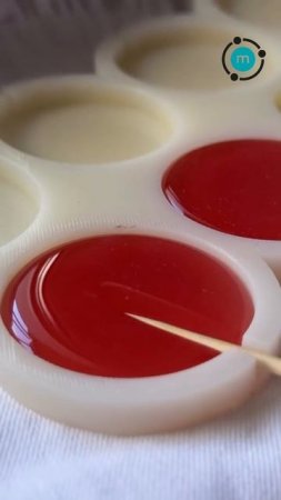Идеальные леденцы с изомальтом Molecularmeal (WB: 115477597)