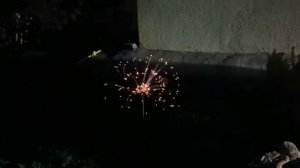 02.07.2025г. ВОТ ТАКАЯ КРАСОТА