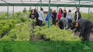 НИУ «БелГУ» присоединился к губернаторскому проекту по временному трудоустройству подростков