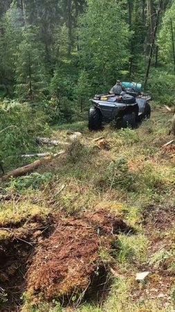 Вездеходы на шинах низкого давления с независимой подвеской