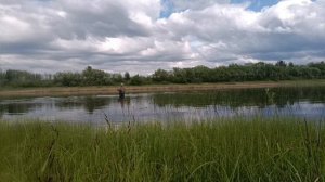 Первый день на спинингах крутящий блесной и воблер