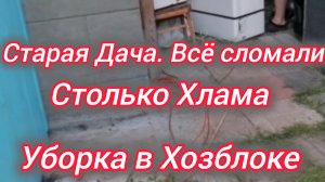 Старая Дача. Всё сломали😨 Уборка в хоз блоке. Новый туалет!