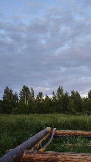 Первый венец нового дома