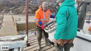 Рыбалка на Кольском