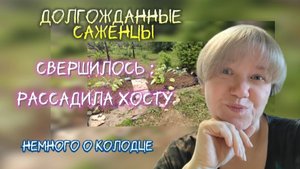 Саженцы с сайта Гаршинка. ру 🌱 рассадила хосту 😍 навожу красоту на участке #влог #дача #рассада