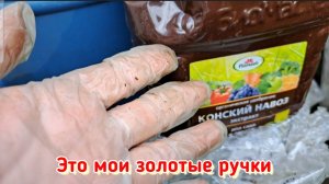 Хошь-нехошь, а заготовки делать надо. Сегодня закатываю компот из вишни.