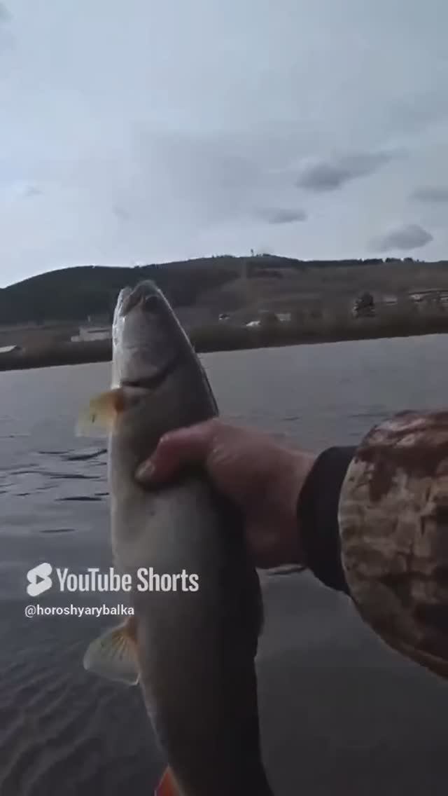 РЫБАЛКА В ЗАБАЙКАЛЬЕ!