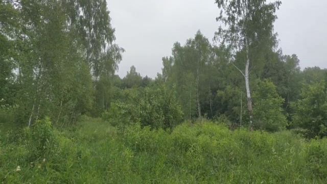 Помечтаем о будущем Альшанского сада