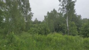Помечтаем о будущем Альшанского сада