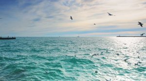Do you see a sea?