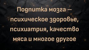 Подпитка мозга – психическое здоровье, психиатрия, качество мяса и многое другое | Доктор Уилл Сове