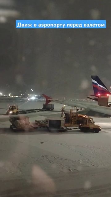Движуха в Шереметьево перед взлнтом . #шереметьево