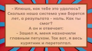Петух в Курятнике. Анекдоты 😂😂😂
