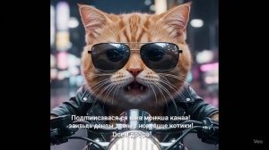 #cat #cute #animals #cutecat #funny #creatorsofcat