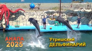 Дельфинарий в Анапе на Большом Утрише - 2025