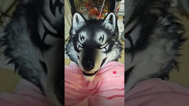 1000009050.mp4