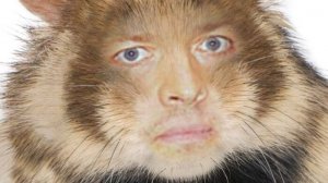 Мышь.