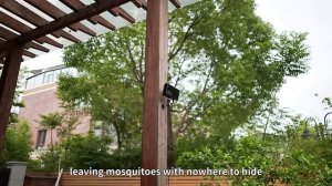 highlights of eliminating mosquitoes with lasers