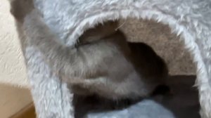 Сижу в моём любимом домике, а вы чем занимаетесь?)