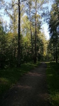 Снимаем стресс