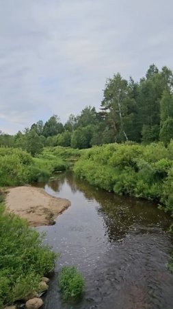 Красивые места Ярославской области река Колокша