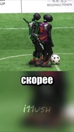 Выиграл тот, кто не упал