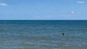 Сочи Адлер Центральный пляж сегодня 2 июня 2025. Море и погода в Адлере сейчас. Обстановка на пляже