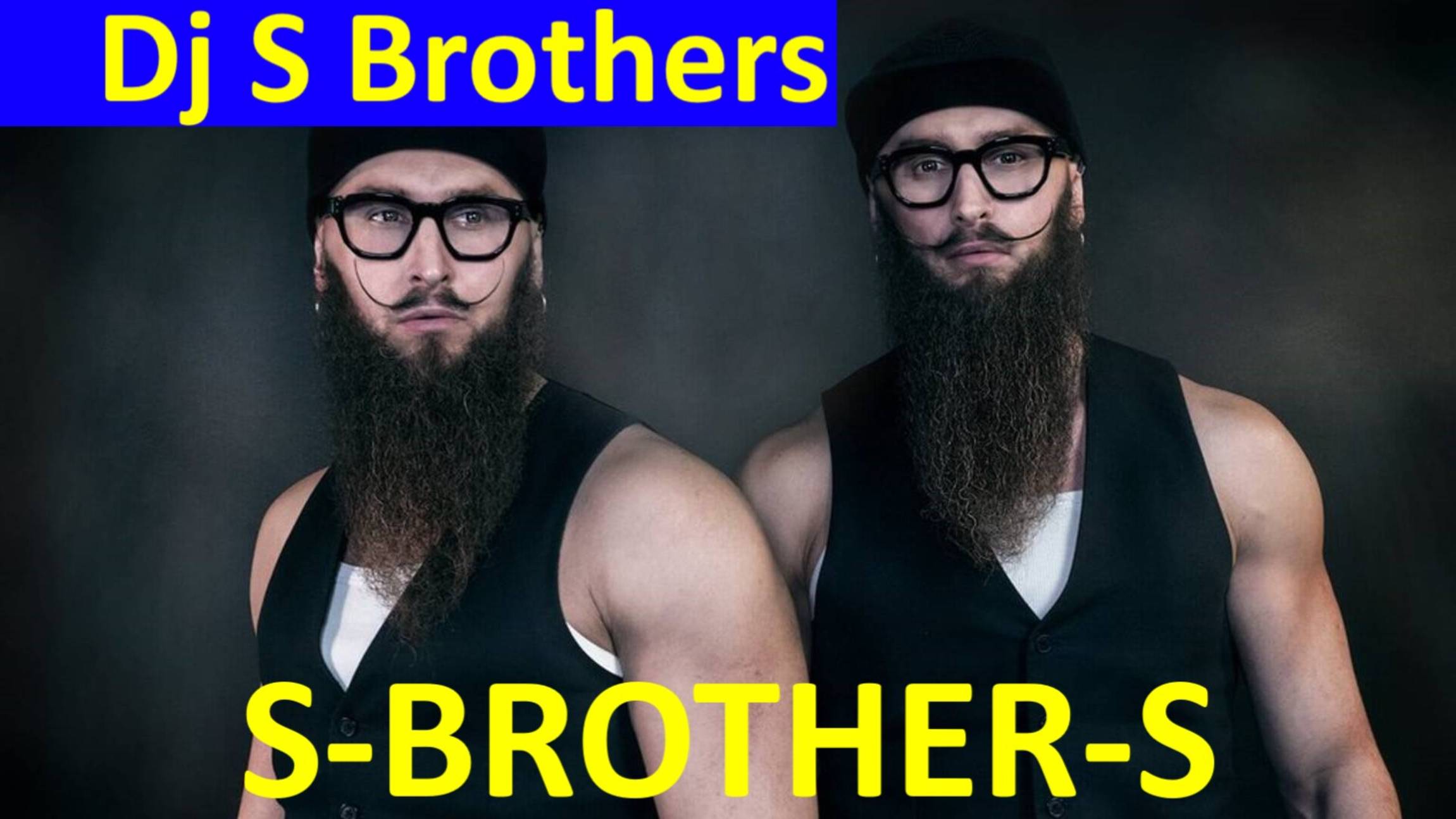Музыка диджей братья близнецы Dj S Brothers S
