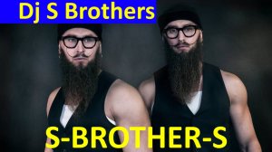 Музыка диджей братья близнецы Dj S Brothers S