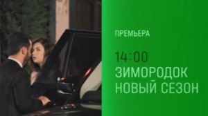 Зимородок 3-сколько стоит любовь
