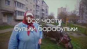 Бабушка с бегемотом все части #бегемот #булька #барабулька #пенсионерка #memes #мем