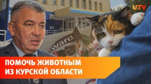 Как уфимцы могут помочь животным Курской области?