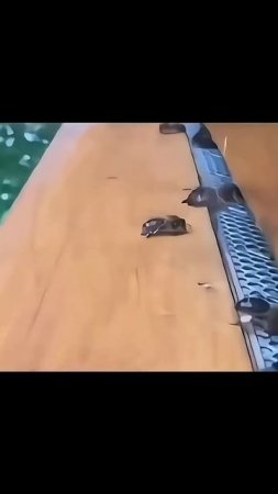Под кайфом?