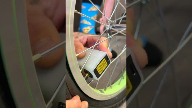 Теперь велосипед есть у каждого члена нашей семьи, даже у самой маленькой. Новый велик от ELECTRA