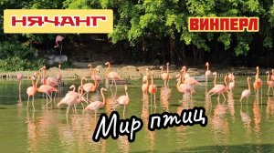 Птичий рай, мир аистов. Нячанг, Винперл.