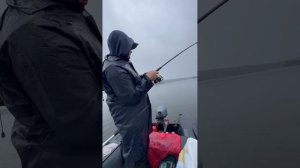 Хорошая щука махнула хвостом.