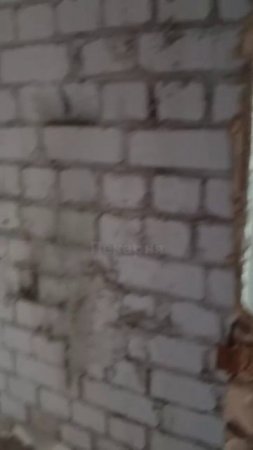 Погнали