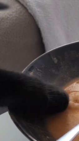 Ах, креветочка, моя креветочка!
