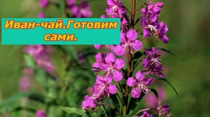 Иван чай.