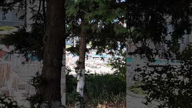 Отель "Черное море" . Анапа. 02.07.2025 г. Россия.