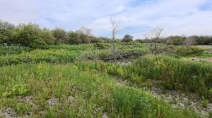 участок в Новотроицком